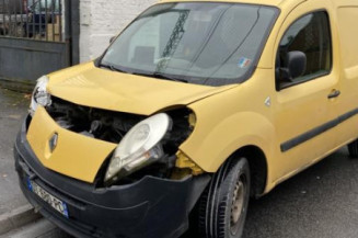 Vitre avant gauche RENAULT KANGOO 2