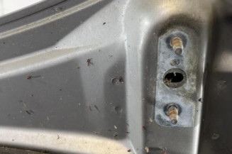 Capot PEUGEOT 406