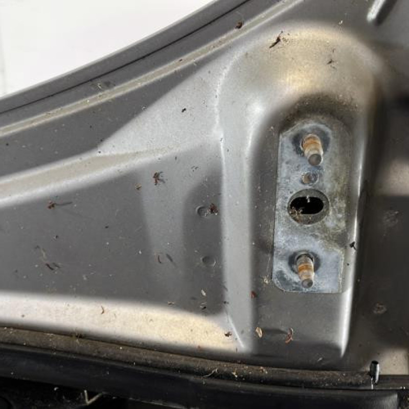Capot PEUGEOT 406 Photo n°8