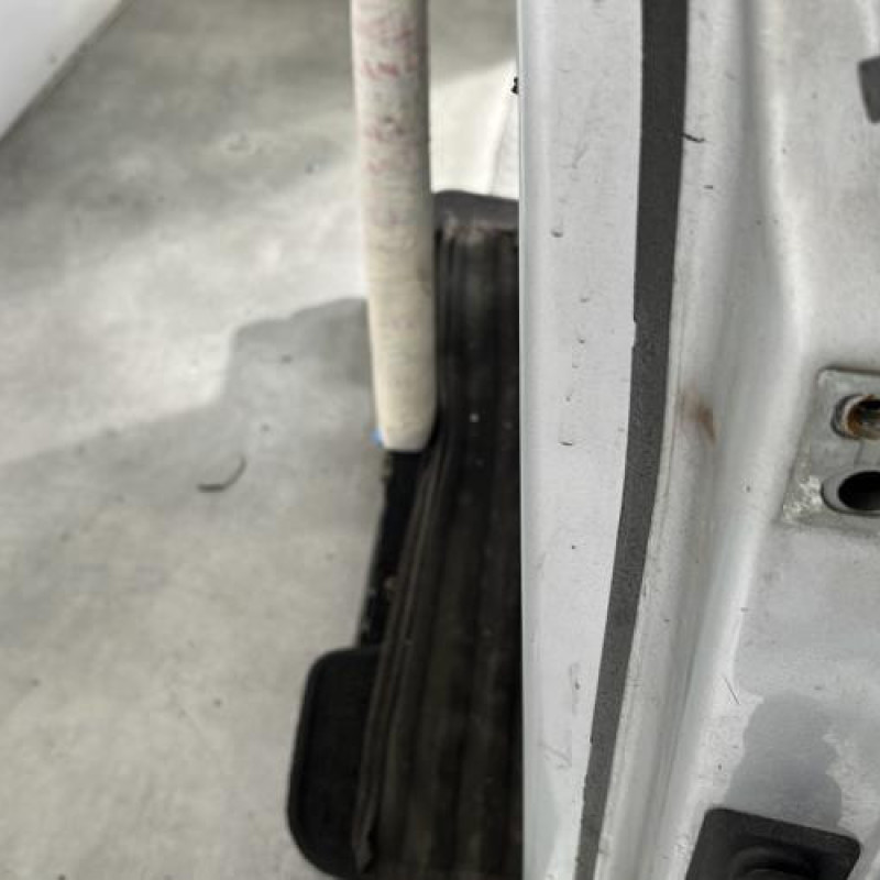 Porte avant gauche VOLKSWAGEN GOLF PLUS Photo n°4