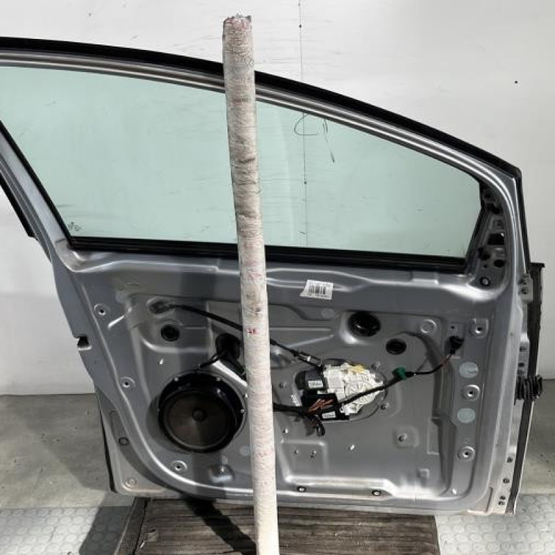 Porte avant gauche VOLKSWAGEN GOLF PLUS Photo n°6
