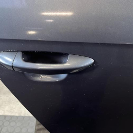 Porte arriere droit VOLKSWAGEN PASSAT 6