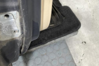 Porte arriere droit VOLKSWAGEN PASSAT 6