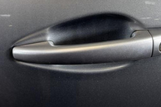 Porte avant gauche PEUGEOT 2008 1