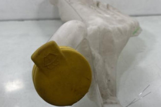 Vase de lave glace RENAULT MEGANE 4