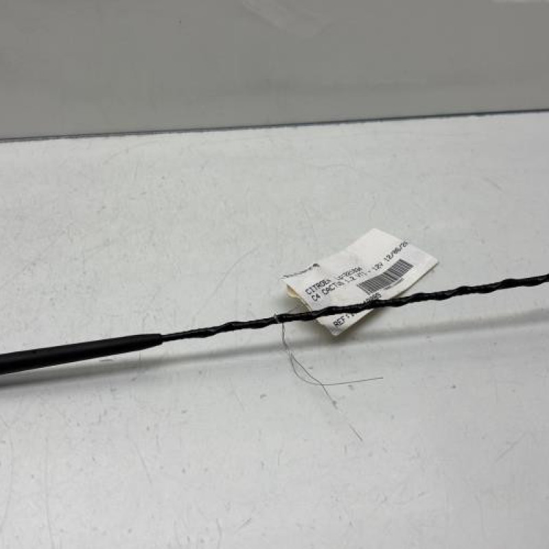 Antenne CITROEN C4 CACTUS Photo n°1