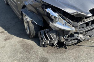 Arret de porte avant droit PEUGEOT 407