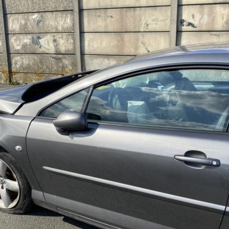 Arret de porte avant droit PEUGEOT 407 Photo n°17