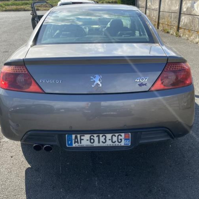 Arret de porte avant droit PEUGEOT 407 Photo n°20