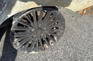 Arret de porte avant gauche BMW SERIE 3 F31