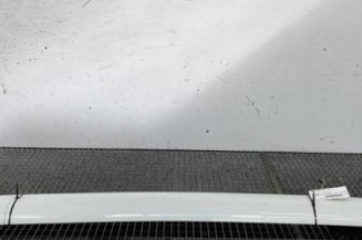 Barres de toit CITROEN C4 CACTUS Photo n°1