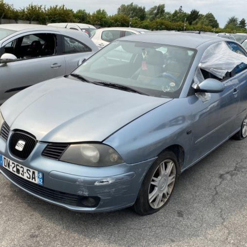 Pare soleil gauche SEAT IBIZA 3 Photo n°4