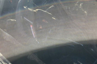 ISUZU D-MAX 2 PHASE 2 1.9 DDI - 16V TURBO 4X4