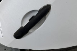 Porte arriere droit RENAULT CLIO 3