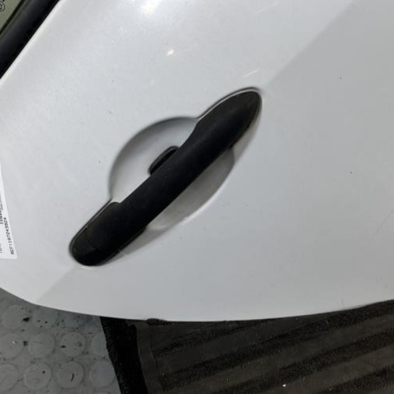 Porte arriere droit RENAULT CLIO 3 Photo n°2