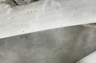 Porte arriere droit RENAULT CLIO 3