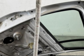 Porte arriere droit RENAULT CLIO 3
