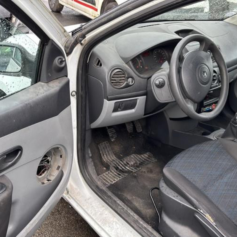 Porte arriere droit RENAULT CLIO 3 Photo n°14
