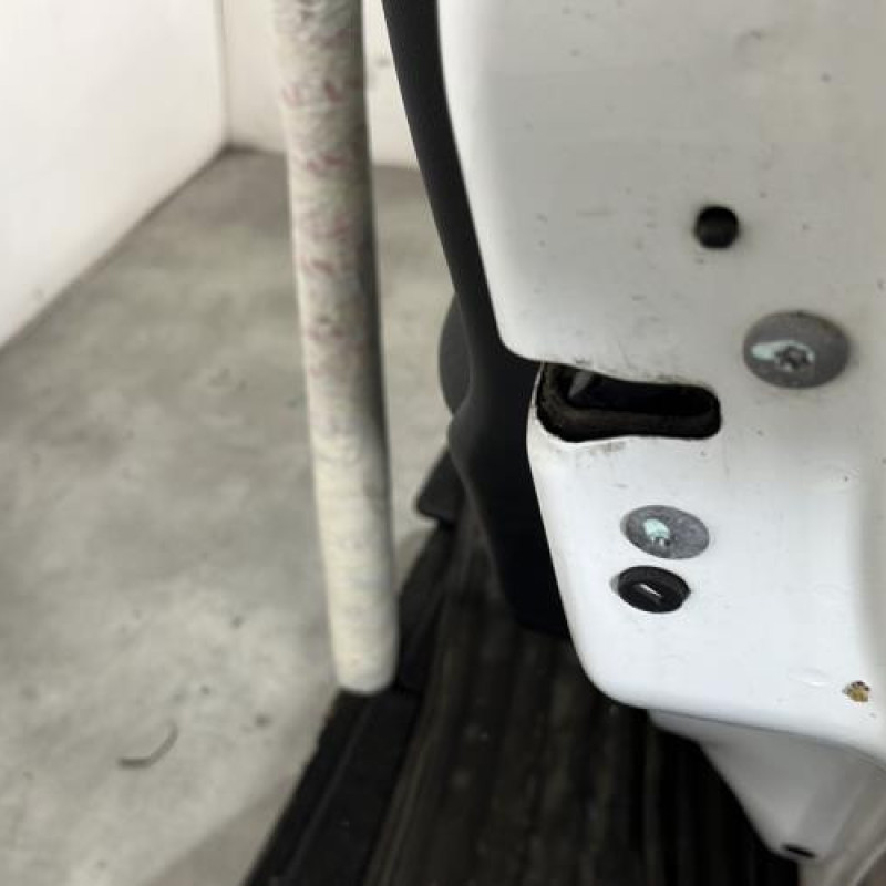 Porte arriere droit CITROEN C3 2 Photo n°4