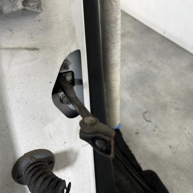 Porte arriere droit CITROEN C3 2 Photo n°6