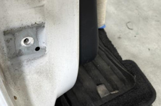 Porte arriere droit CITROEN C3 2
