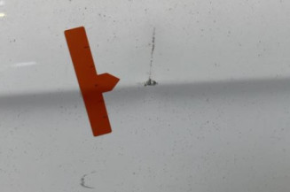 Porte arriere gauche CITROEN C3 2