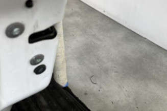 Porte arriere gauche CITROEN C3 2