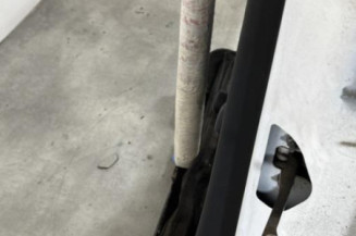 Porte arriere gauche CITROEN C3 2