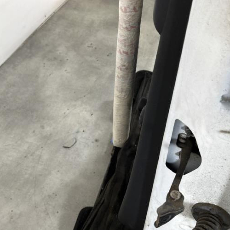 Porte arriere gauche CITROEN C3 2 Photo n°5