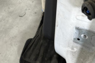 Porte arriere gauche CITROEN C3 2