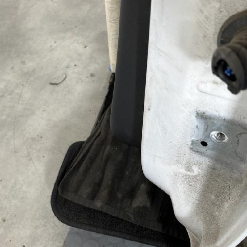 Porte arriere gauche CITROEN C3 2 Photo n°6