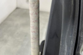 Porte arriere gauche FORD FIESTA 6