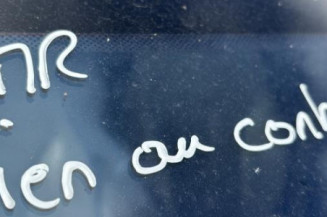 Porte arriere droit RENAULT LAGUNA 2