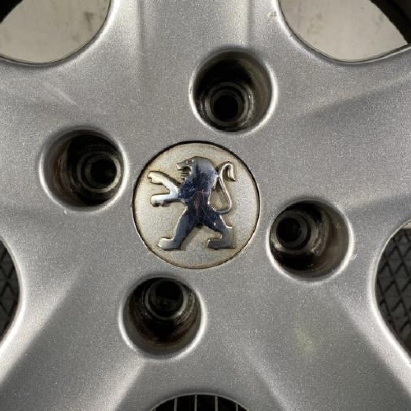 Jante PEUGEOT 307 Photo n°2