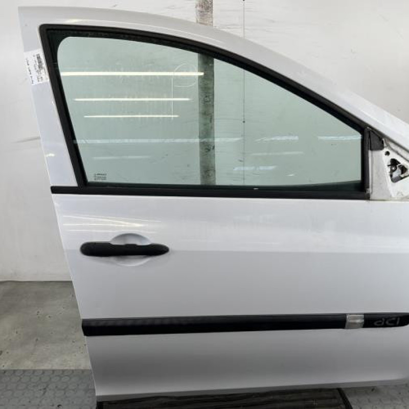 Porte avant droit RENAULT CLIO 3 Photo n°1