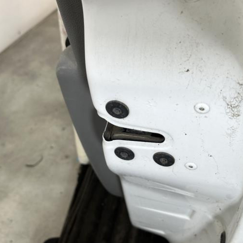 Porte avant droit RENAULT CLIO 3 Photo n°3