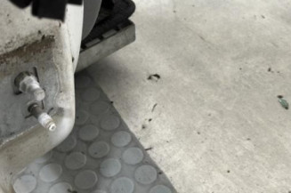 Porte avant droit RENAULT CLIO 3
