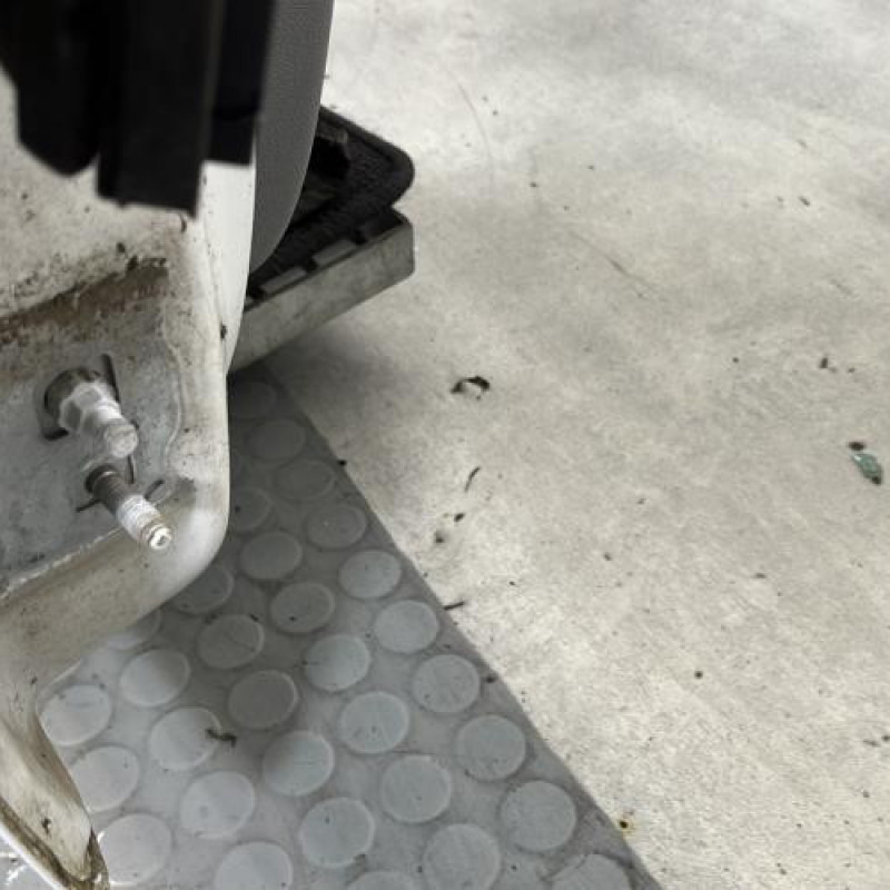 Porte avant droit RENAULT CLIO 3 Photo n°5