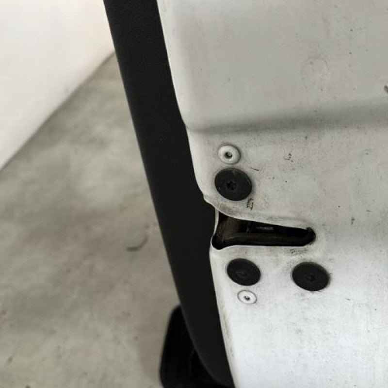 Porte avant droit RENAULT CLIO 3 Photo n°4