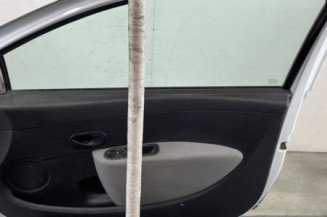 Porte avant droit RENAULT CLIO 3