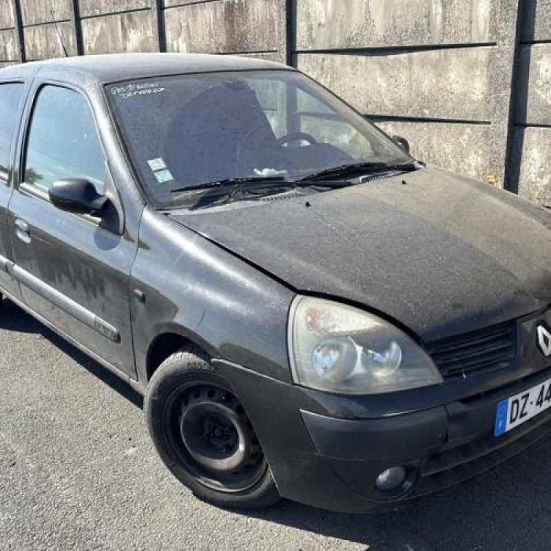 Porte avant droit RENAULT CLIO 2 Photo n°8