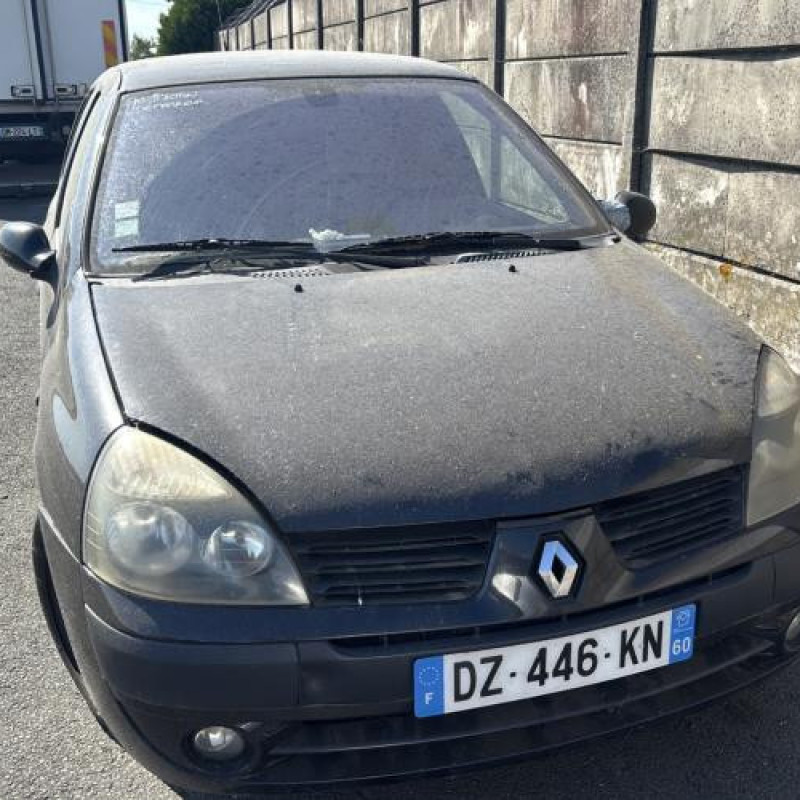 Porte avant droit RENAULT CLIO 2 Photo n°14