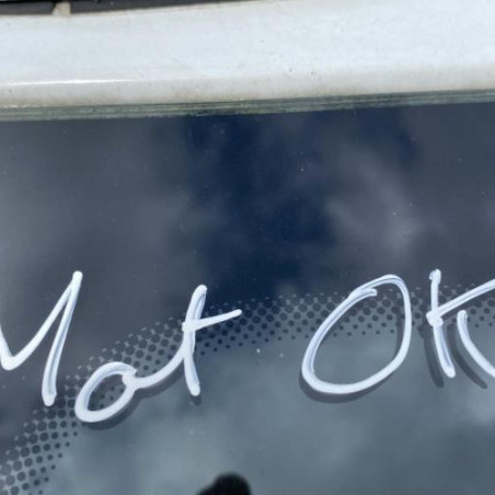 Poignee interieur arriere droit DACIA DUSTER 1