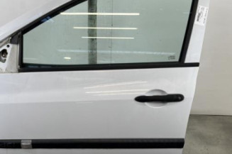 Porte avant gauche RENAULT CLIO 3 Photo n°1