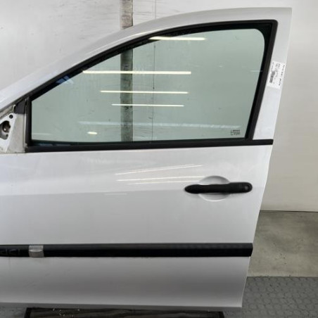Porte avant gauche RENAULT CLIO 3 Photo n°1