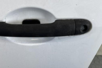 Porte avant gauche RENAULT CLIO 3
