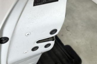 Porte avant gauche RENAULT CLIO 3