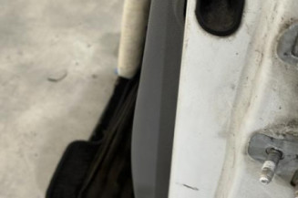 Porte avant gauche RENAULT CLIO 3