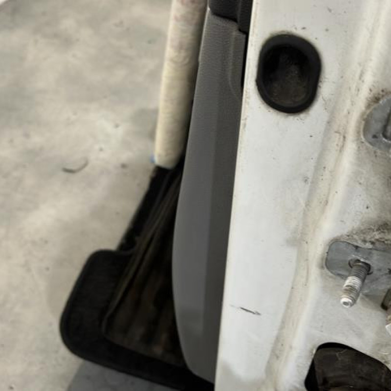 Porte avant gauche RENAULT CLIO 3 Photo n°4