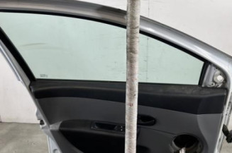 Porte avant gauche RENAULT CLIO 3